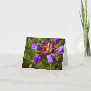 Vildblommor och insekter tack kort
