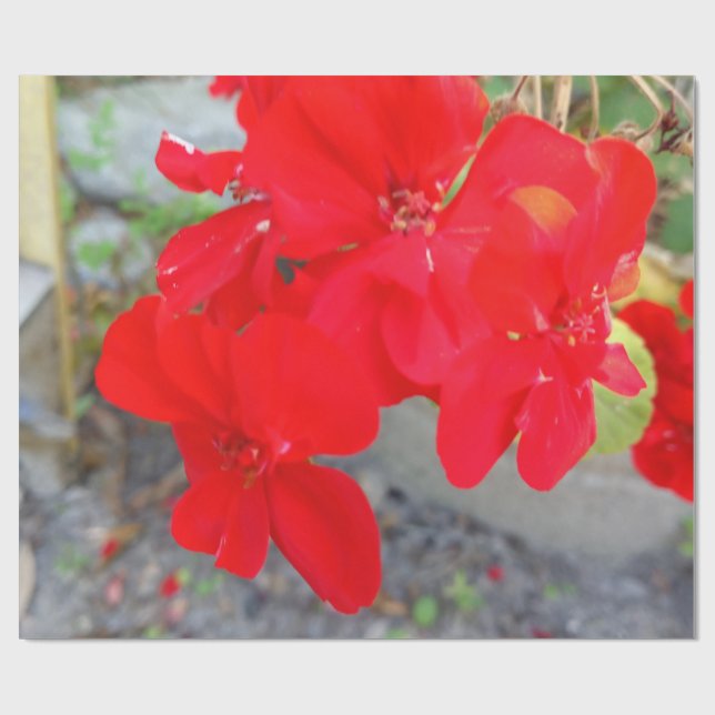 Vildblomsinslagspapper Presentpapper (Platt)