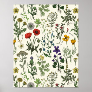 Vildblomskollage Poster