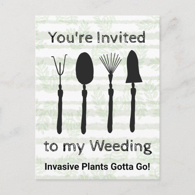 Vildblomsveckans inbjudningskort (Framsida)