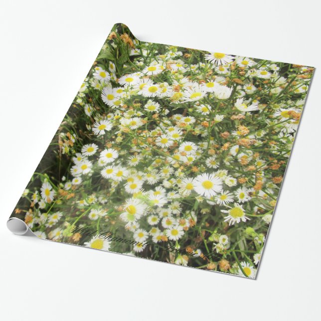 VildChamomile - prärieMile - giftwrap Presentpapper (Utrullad)