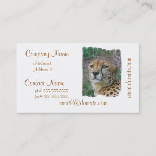 VildCheetahvisitkortar Visitkort