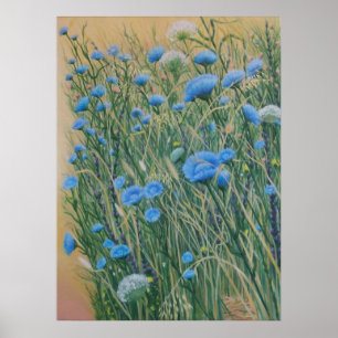 VildChicory och ogräs Poster