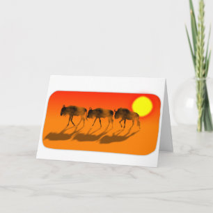 Vilddjur i sunset Birthday Card Kort
