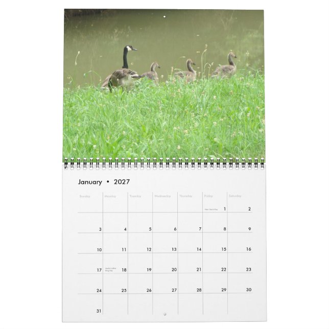 Vilddjurkalender Kalender (Jan 2027)