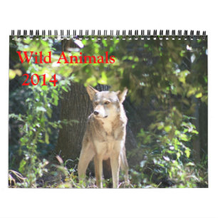 Vilddjurkalender Kalender