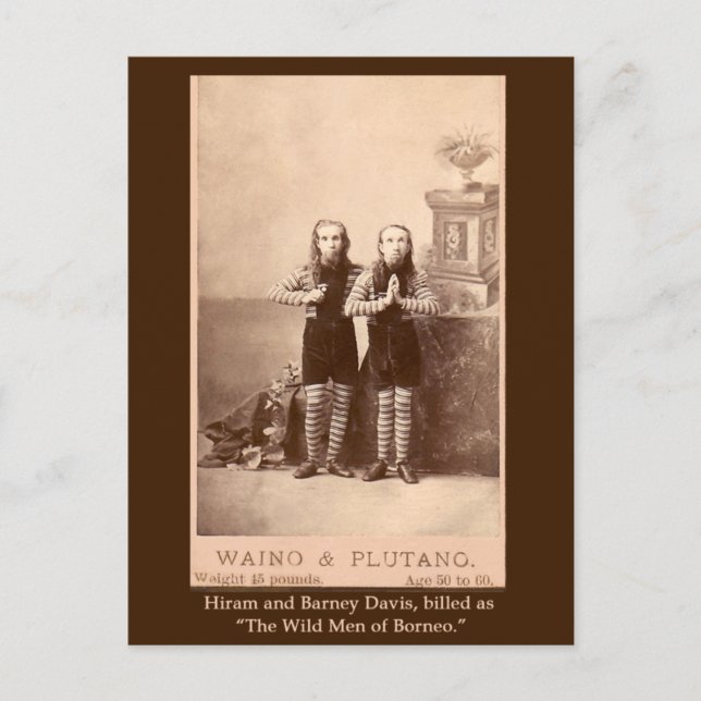 Vilden Borneo Manar på kort, vykort (Framsida)