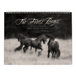 Vilden Forest Boyz - Springa Kalender