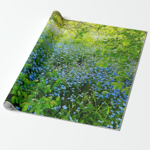 Vilden glömmer mig notsblommafotoet presentpapper