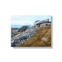 Vilden Moors Bodmin Moor Cornwall England