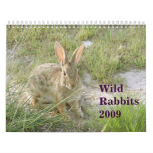 Vilden oavbrutet tjata 2009 kalender