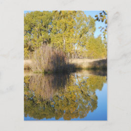 Vilden Pond Refltions - Kattlar Hösten Vykort