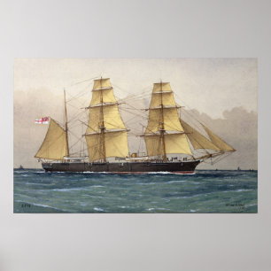 Vilden Svan, 1906 Poster