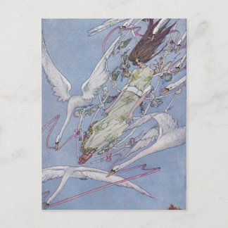 Vilden Svanar Vykort