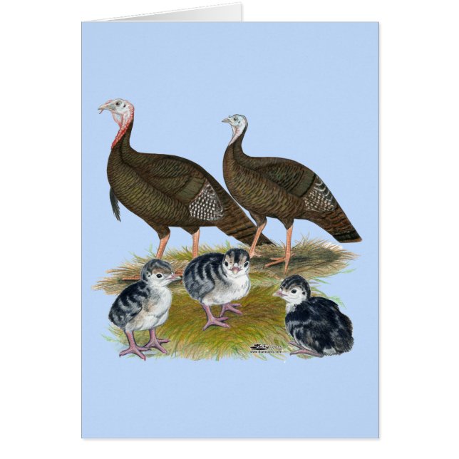 Vilden Turkey Östra  Family OBS Kort (Framsidan)