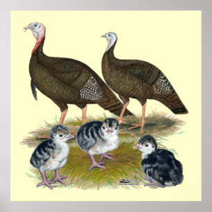 Vilden Turkey Östra  Family Poster