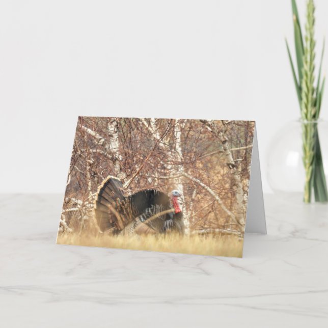 Vilden Turkiet Tom noterar kortet Kort (Framsida)