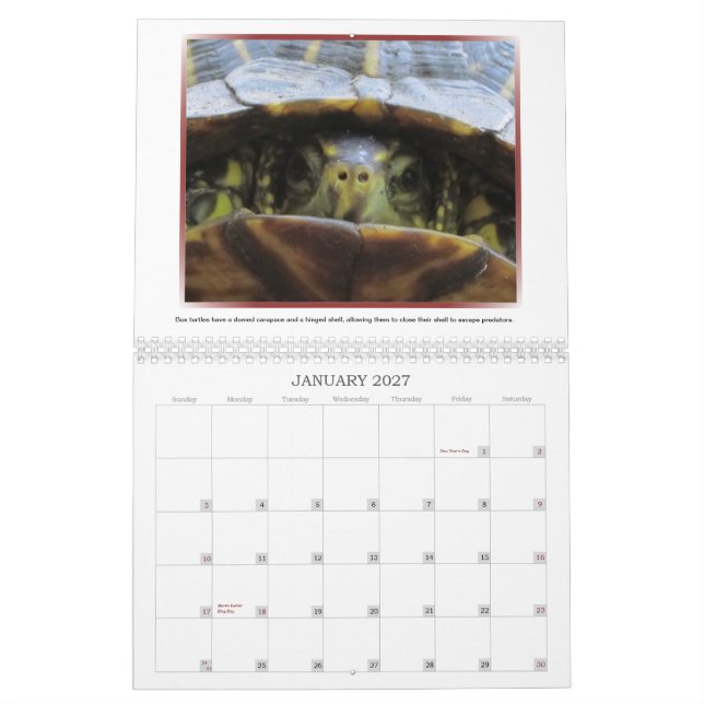 Vilden vänder mot kalender 2013 (Jan 2027)