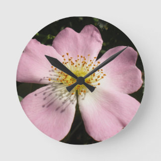 vildens blommar ro rund klocka