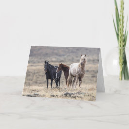Vildens familj: Galloping to Freedom Greeting Card Kort
