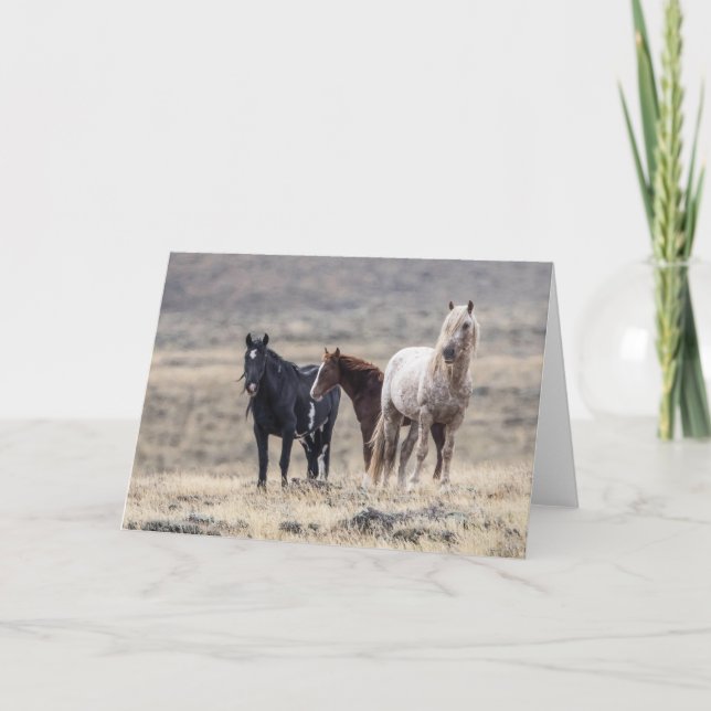 Vildens familj: Galloping to Freedom Greeting Card Kort (Framsida)