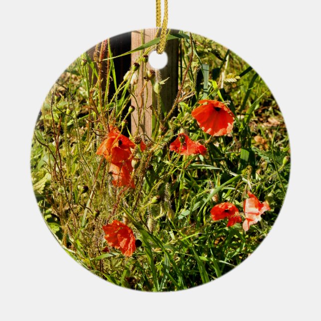 VILDENS FLÖDEN JULGRANSPRYDNAD KERAMIK (Framsidan)