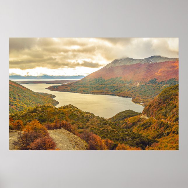 Vildens frågor: Lago Eskonditiondo Poster (Framsidan)