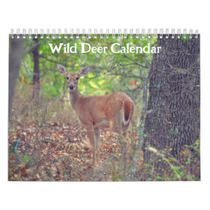 Vildens Hjort - naturkalender Kalender