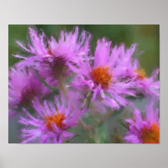 Vildens Rosa Asters Flower Art Poster (Framsidan)
