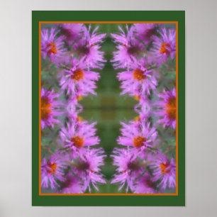Vildens Rosa Asters Flower Art Poster