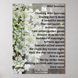 Vildens soluppgång poster