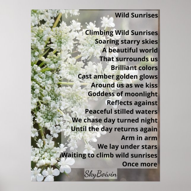 Vildens soluppgång poster (Framsidan)