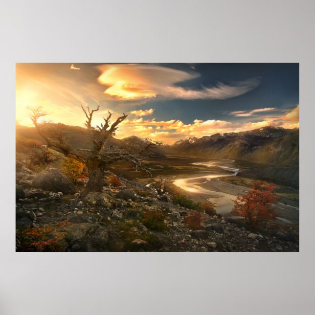 Vildens vetenskap poster (Framsidan)
