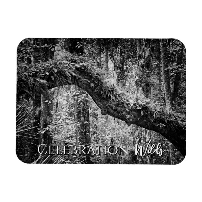 Vilderna firande magnet (Horisontell)