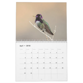 Vildfågelkalender 2018 kalender