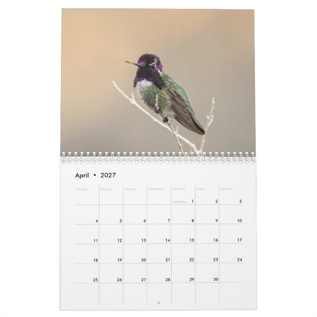Vildfågelkalender 2018 kalender (Apr 2027)