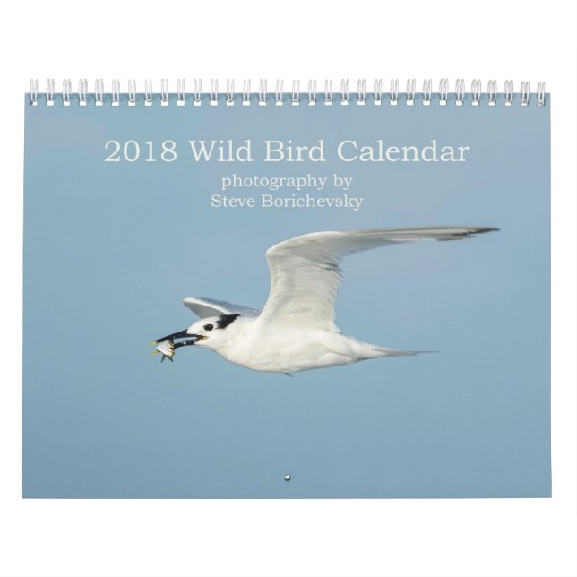 Vildfågelkalender 2018 kalender (Omslag)