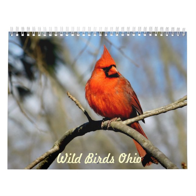 VildfågelOhio kalender (Omslag)