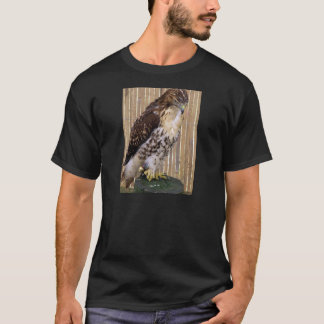 Vildfåglar: Röd-Tailed hök T-shirt