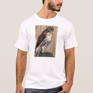 Vildfåglar: Röd-Tailed hök T-shirt