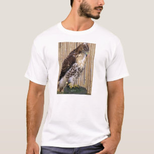 Vildfåglar: Röd-Tailed hök Tee