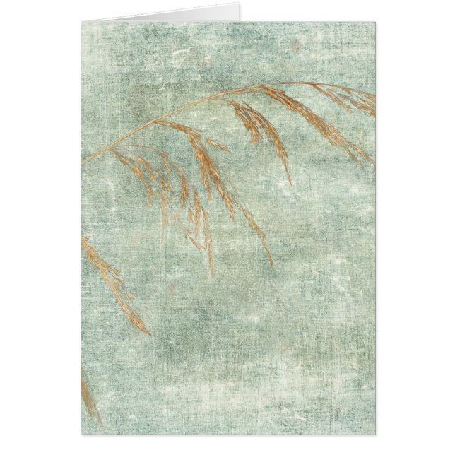 Vildgräs Hälsningskort (Framsidan)