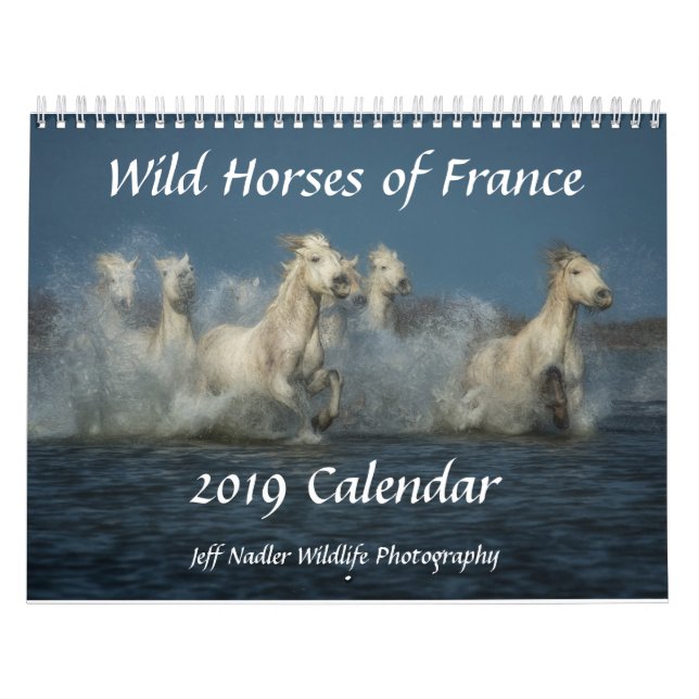 Vildhästar av frankriken - väggkalender 2019 kalender (Omslag)