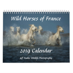 Vildhästar av frankriken - väggkalender 2019 kalender