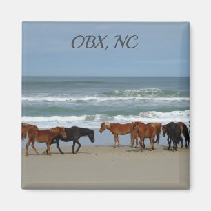 Vildhästar OBX NC Magnet