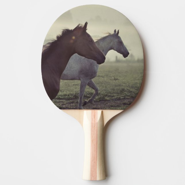 Vildhästar Pingisracket (Framsidan)