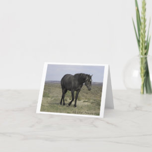 Vildhästfotografi noterar kortdesign 5 kort