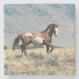 Vildhingstkustfartyg Stenunderlägg