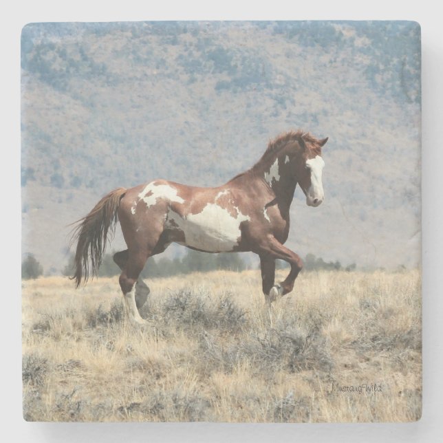 Vildhingstkustfartyg Stenunderlägg (Framsidan)