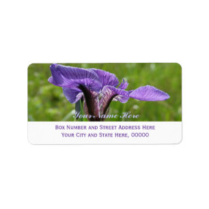 VildIris, Irissetosa Adressetikett